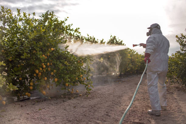 Best Affordable Pest Control Services  in Crooksville, OH