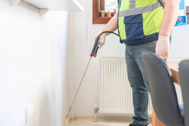 Best Flea Control Services  in Crooksville, OH