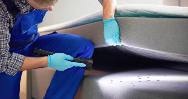 Pest Control for Restaurants in Crooksville, OH