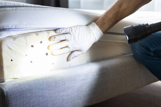 Best Pest Prevention Services  in Crooksville, OH