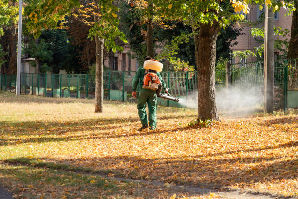 Best Pest Control Treatment  in Crooksville, OH