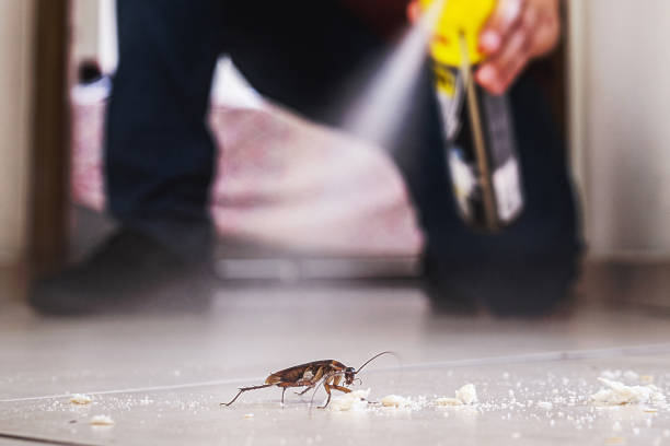 Professional Pest Control in Crooksville, OH