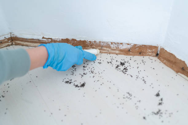 Best Pest Control for Businesses  in Crooksville, OH